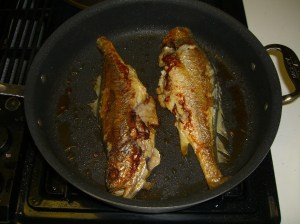 chinese croaker1