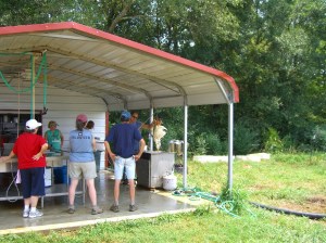 Ducks going into the scalder. Killing cone in back with a few ducks in it.