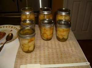 canned apples1 Canned apples!