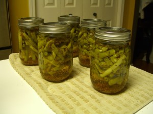 dilled green beans1 Dilled and rather pickled green beans