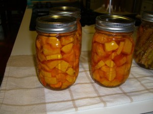 Pumpkin and butternut squash pickled and canned