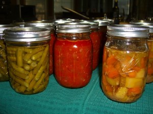 canned beans stew marinara