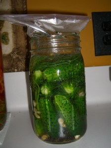 fermented dill pickles1