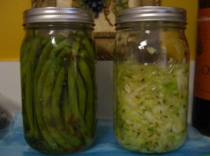 sauerkraut and beans fermenting1